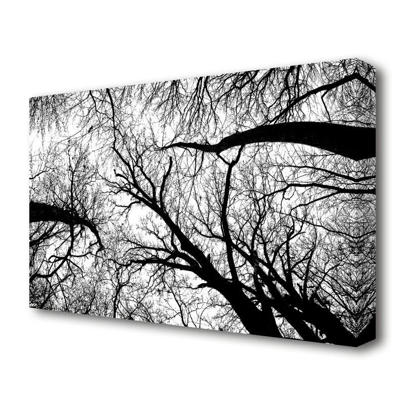 East Urban Home Pecan Grove Black And White Forest Canvas Print