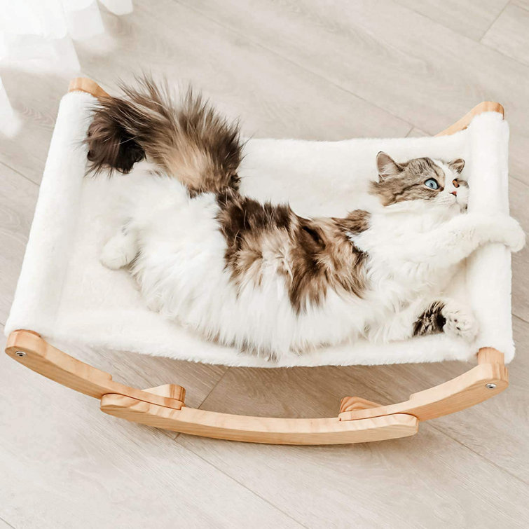 moon cat bed