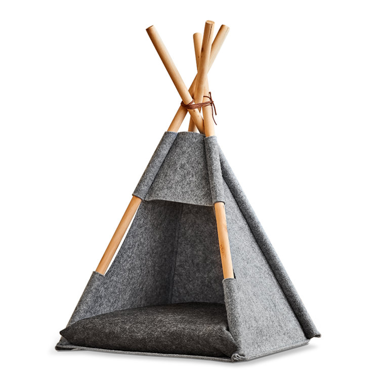 cat tent