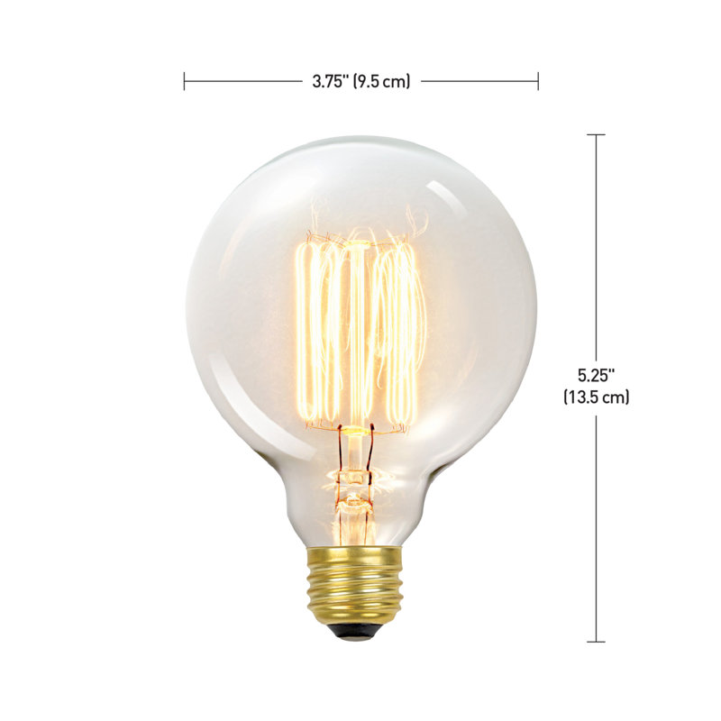 60 Watt G30 Incandescent Dimmable Light Bulb Warm White 2700k E26 Medium Standard Base Reviews Allmodern