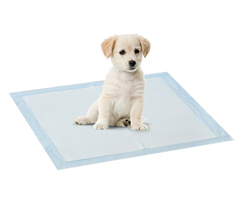 training mat dog