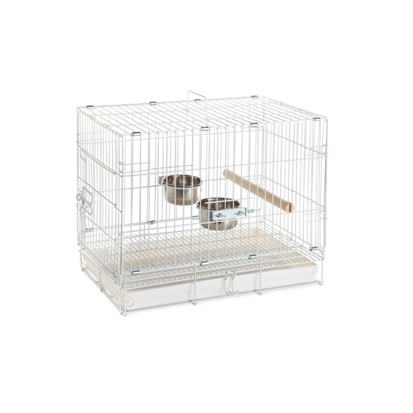 parrot travel cage