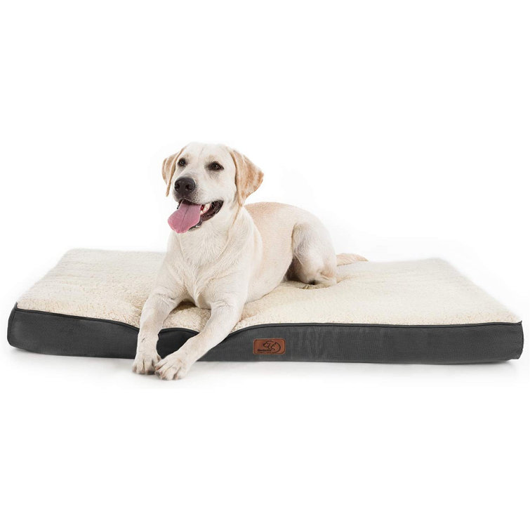 ortho dog beds for large dogs