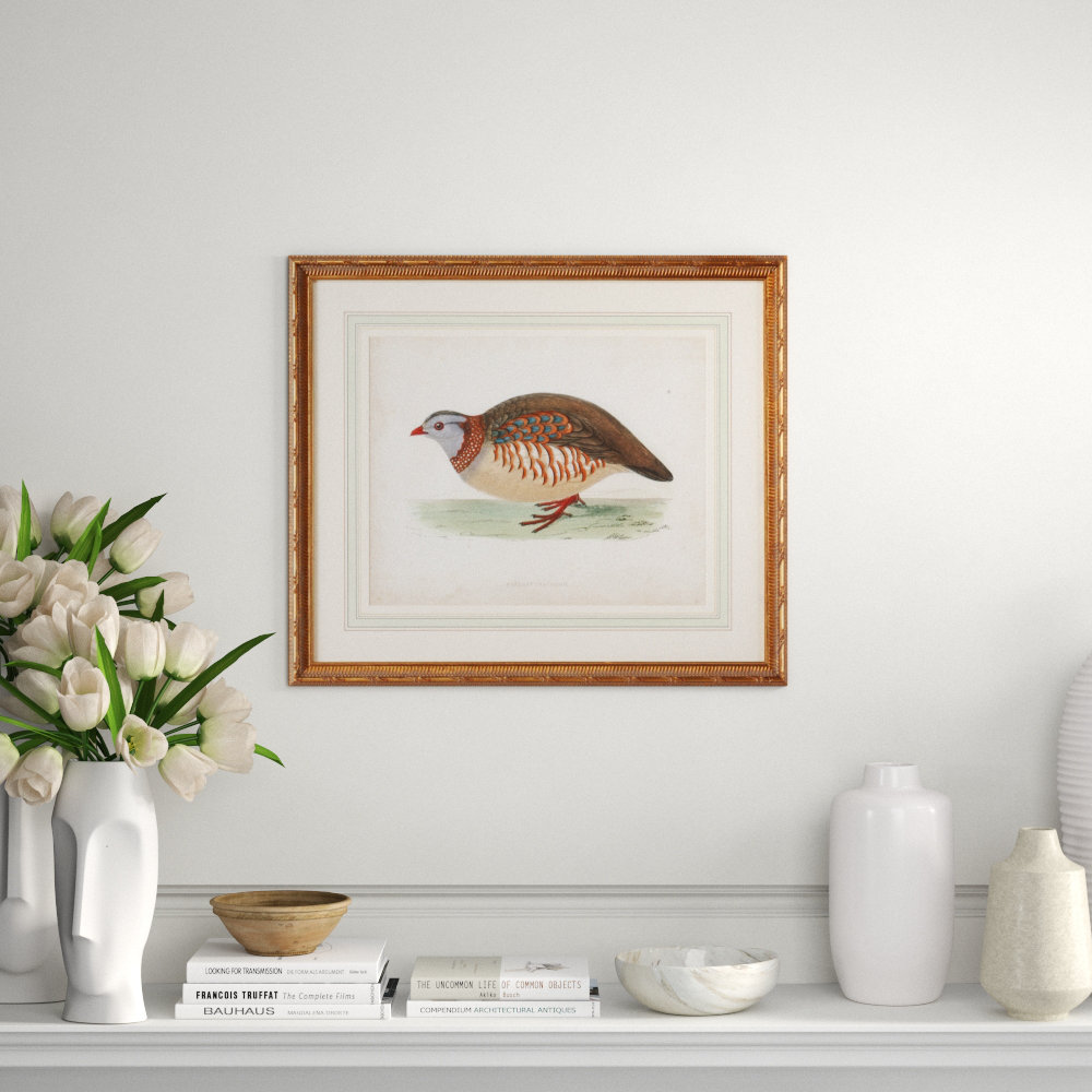 Chelsea House Morris Barbary Partridge Picture Frame Graphic Art Print Perigold