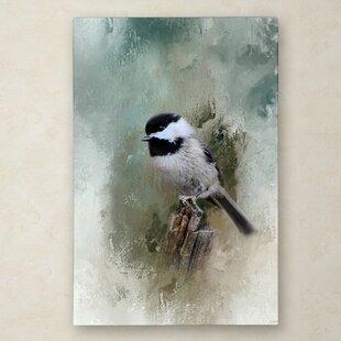Nature Photography Chickadee perched on a Pine Cone Canvas Print Bird Photo Wall Art