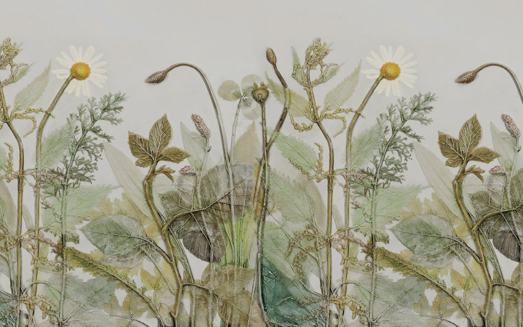 Alcott Hill® Salcido Wallpaper | Wayfair