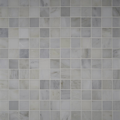 Msi Arabescato Carrara 2 X 2 Grid Marble Tile Reviews Wayfair