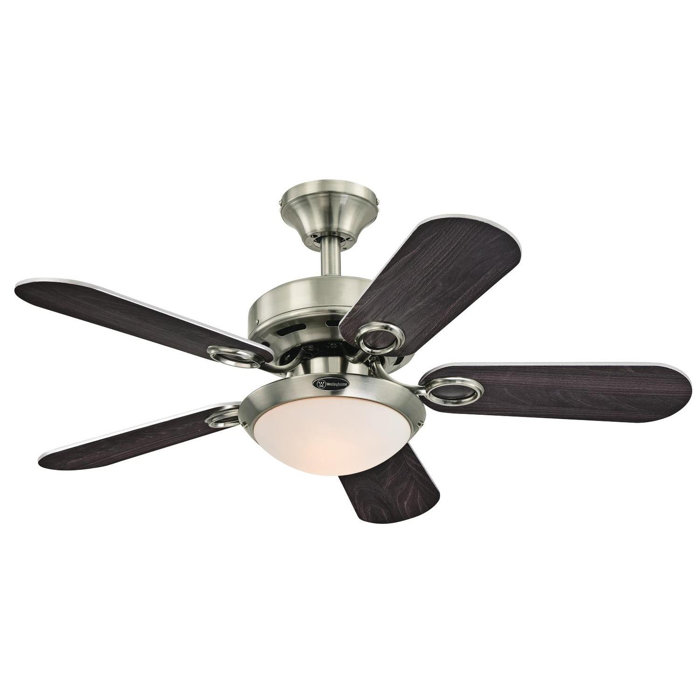 36 Novotny Two Light Reversible 5 Blade Indoor Ceiling Fan