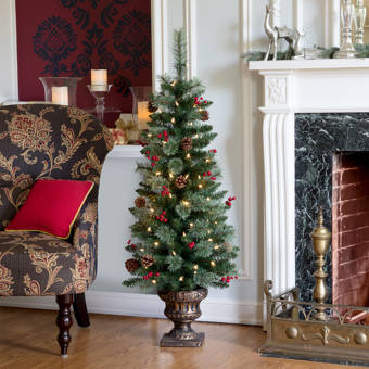 Haute Decor Pre Lit Carolina 3 4 Green Spruce Artificial