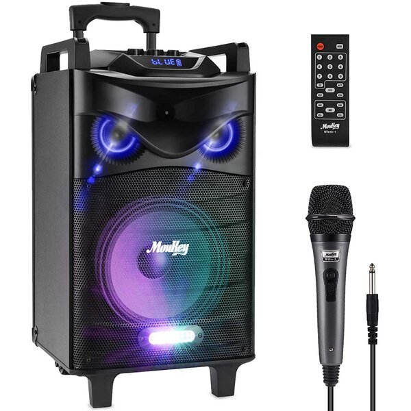 Karaoke Machine for Adults and Kids,Bluetooth Karaoke Speaker with 2 Wireless Microphone,Party Speakers with Phone Holder,HD Sound PA System Support TWS,TFcard,AUX in,for Party/Meeting 