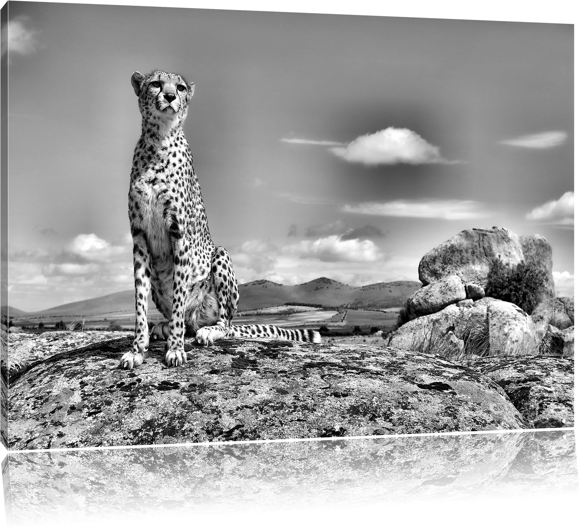 World Menagerie Watching Cheetah Wall Art On Canvas Wayfair Co Uk
