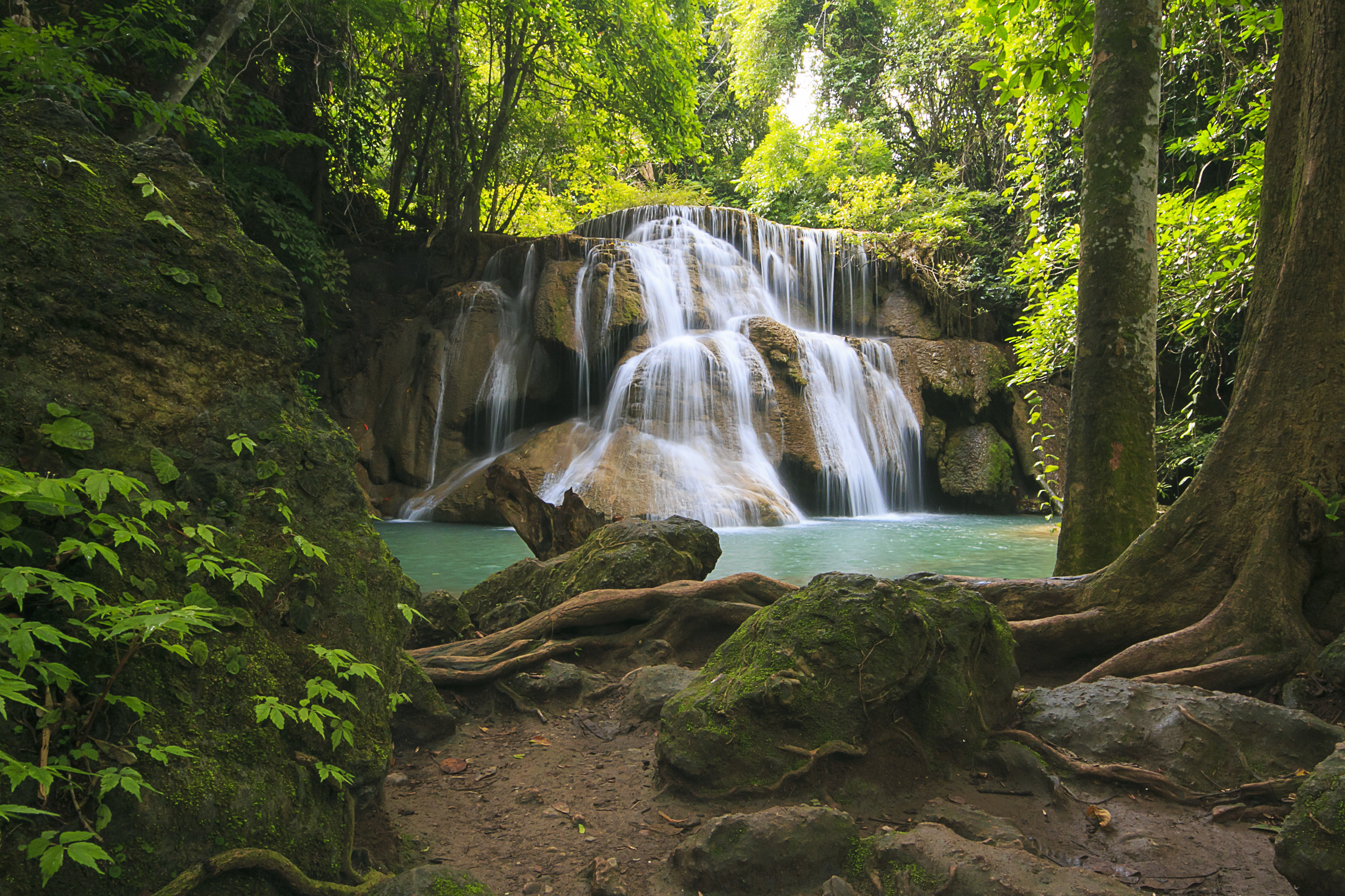 Millwood Pines Waterfall - Wrapped Canvas Photograph 