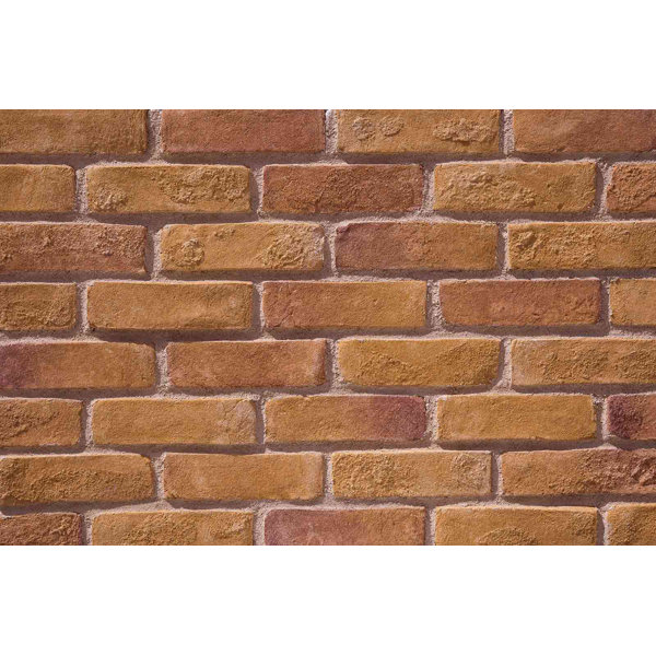 Faceables Old Brick 3 X 8 Cement Subway Tile Wayfair