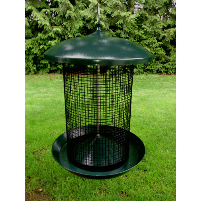 Zenport Sunflower Tube Bird Feeder Wayfair Ca