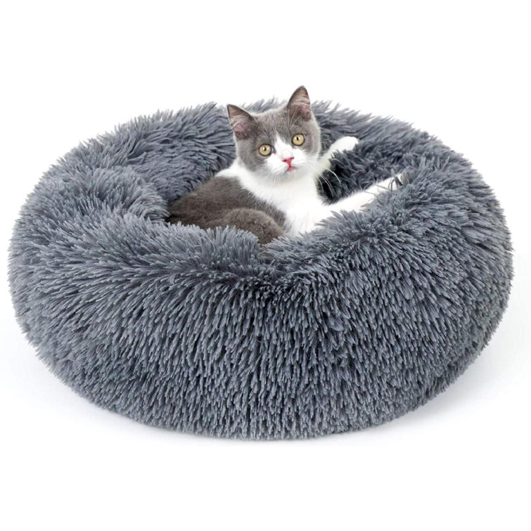 cat bed for kittens