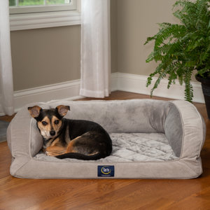 wayfair large dog beds