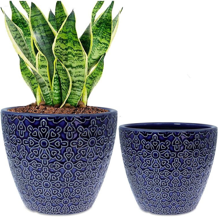 Succulent Plant Flower Ceramic Pot Green/ Blue