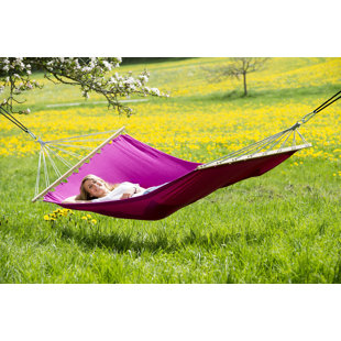 Go to store & view more images Charlotte Tree Hammock by Freeport Park