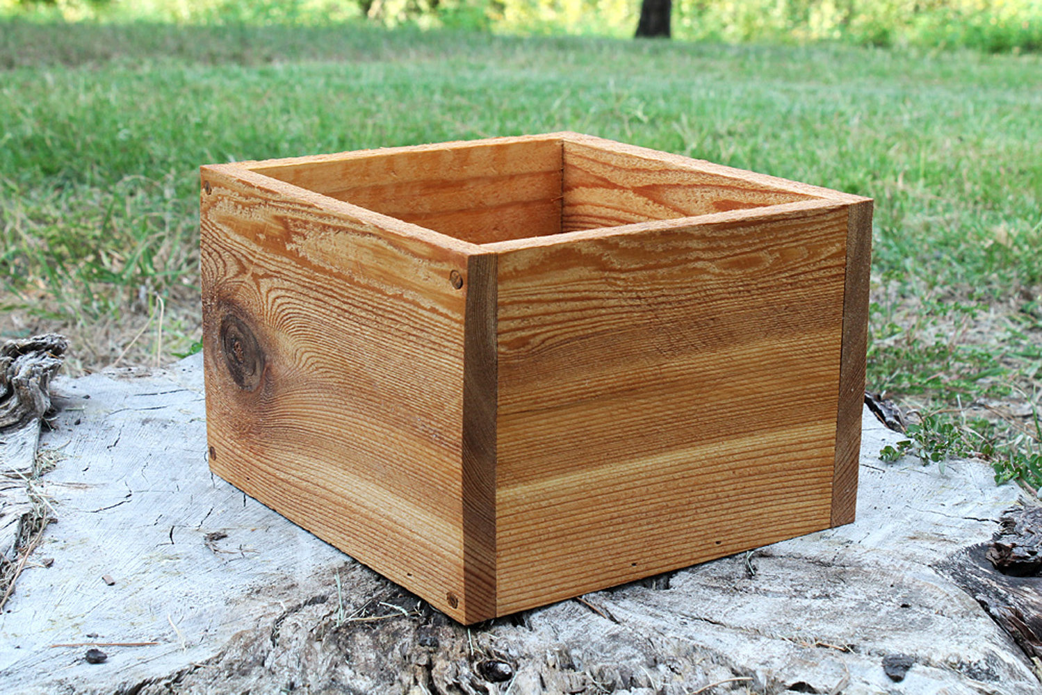 Millwood Pines Osias Wood Planter Box & Reviews Wayfair
