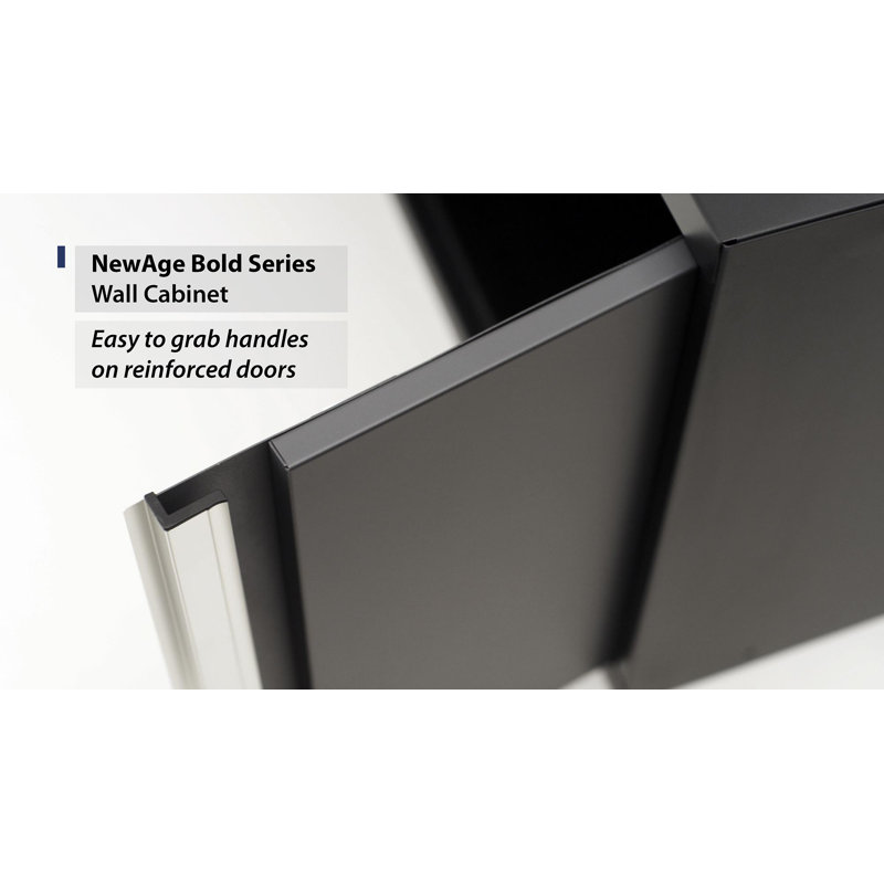 Newage Products Bold 3 0 Series 18 H X 24 W X 12 D Wall Cabinet