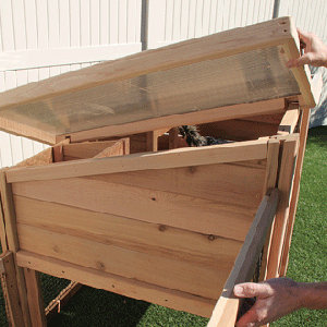 Chicken Coop Pet Cottage
