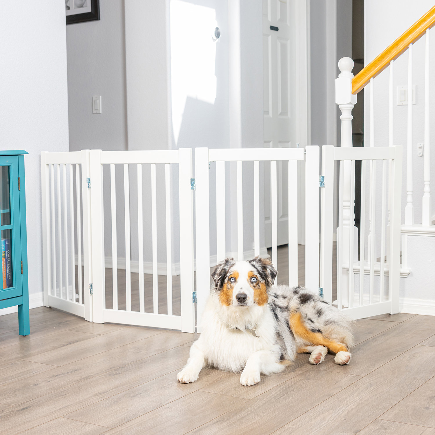 Foldable Design for Indoor Use Assembly Free Pet Gate unipaws Dog Gate with Paw Deco Design Sturdy Wooden Structure Baby Gate 