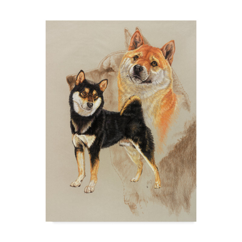 Trademark Art Sheba Inu Oil Painting Print On Wrapped Canvas