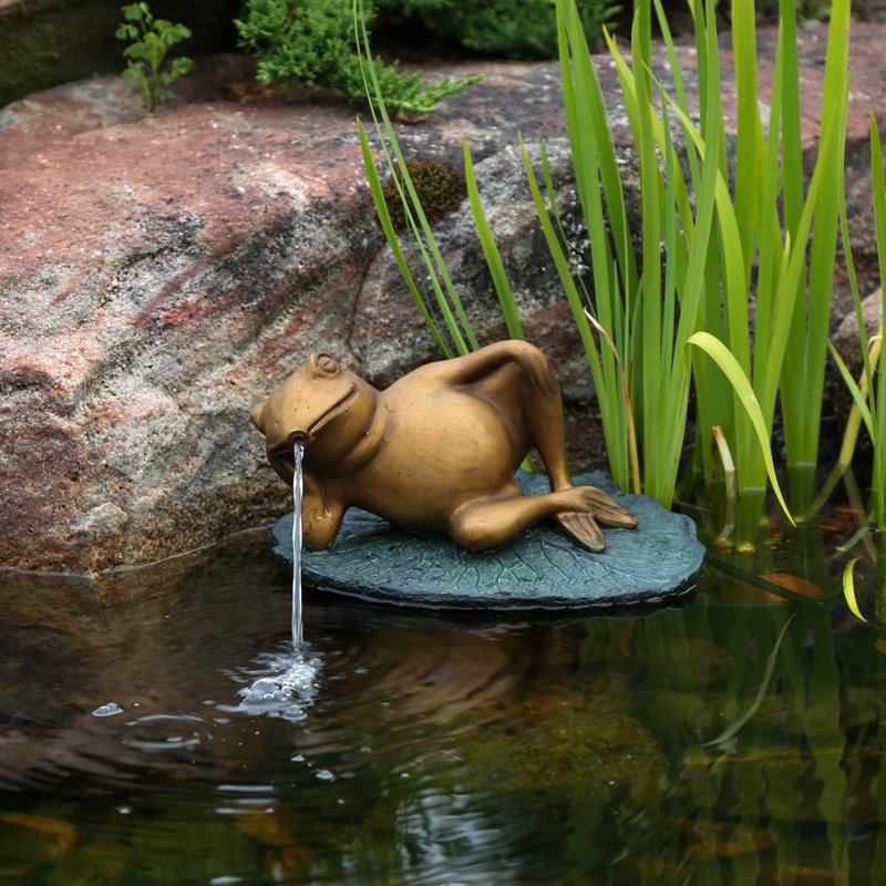 Aquascape Resin Lazy Frog On Lily Pad Spitter Fountain Wayfair