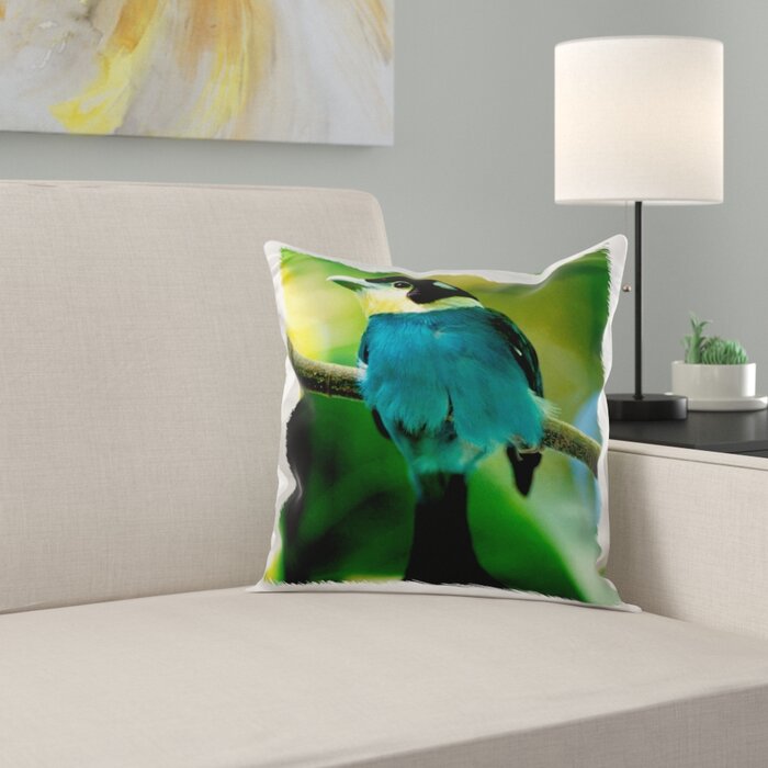 East Urban Home Long Tailed Broadbill Bird Pillow Cover Wayfair