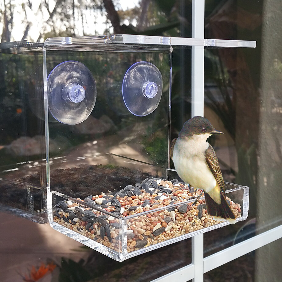 Acrylic Bird Feeder Clear Seed Tray Transparent Window House Feeding Container 