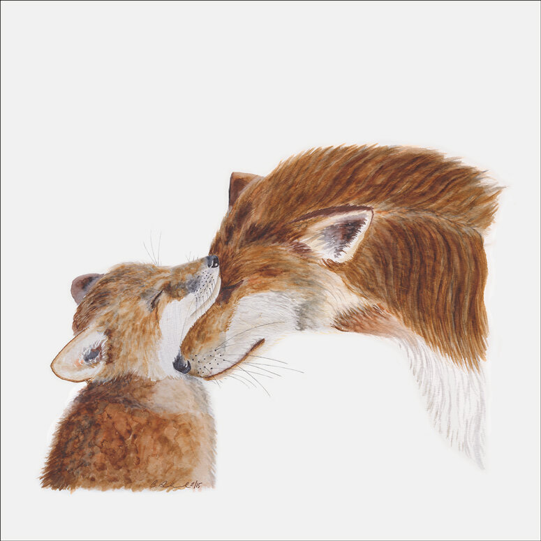 Download Oopsy Daisy Mom And Baby Foxes Canvas Art Wayfair