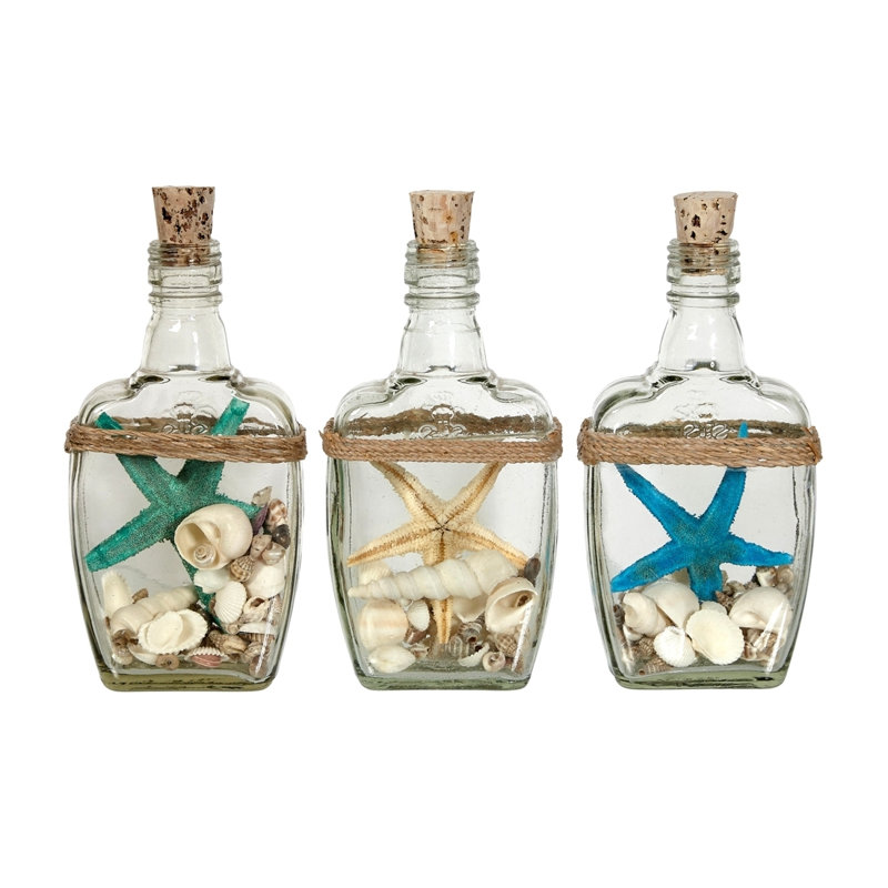 Rosecliff Heights Steverson Starfish And Shell In Bottle Reviews Wayfair