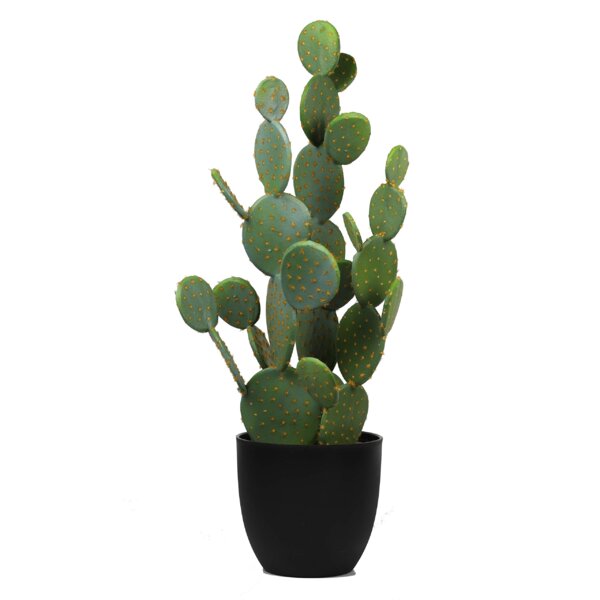 Imitation Replica Succulents 19cm - Artificial Plants 7.5" 2 x Agave Cacti 