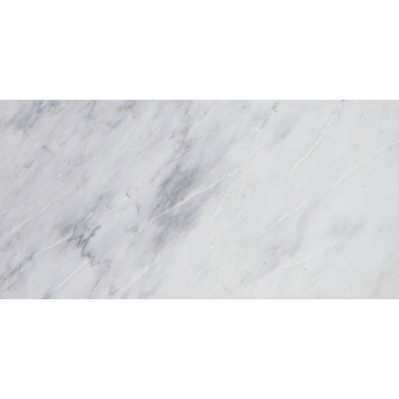Emser Tile Marble 12 X 24 Tile In Winter Frost Classico Wayfair