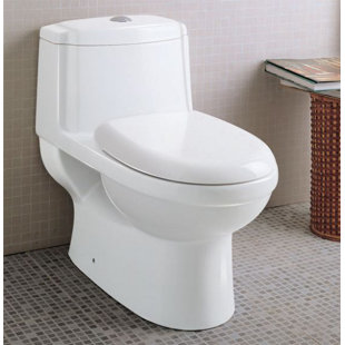 Go to store & view more images EAGO Ceramic Dual Flush Elongated One-Piece Toilet