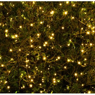 Chilmark Multi Function Fairy Lights By The Seasonal Aisle