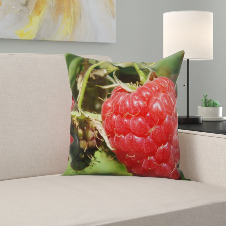 raspberry colored throw pillows