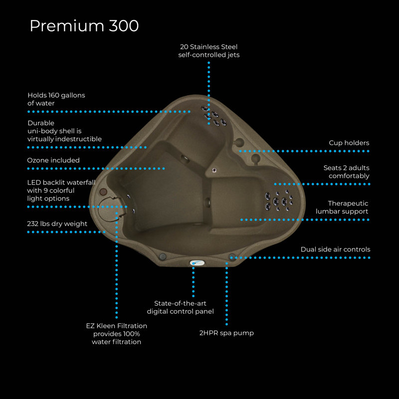 Premium 300 2 Person 20 Jet Plug And Play Hot Tub With Stainless Steel Heater