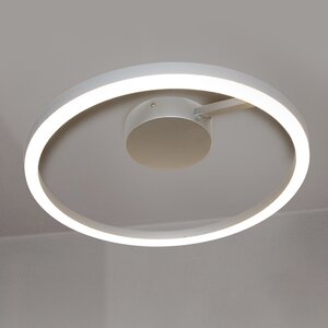 Zuben 1-Light Semi-Flush Mount