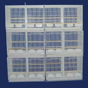 Lot of Six Small Bird Cage with Divider