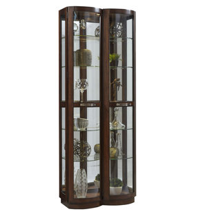 Go to store & view more images Red Barrel Studio Byrnes Pacific Lighted Curio Cabinet