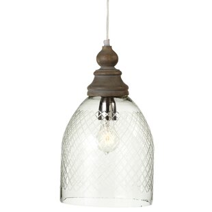 Etched Glass Pendant Light zoila etched led bell pendant