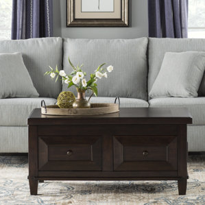 Edmondson Coffee Table with Lift Top by Three Posts