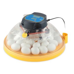 Maxi II Eco Manual Chicken Egg Incubator
