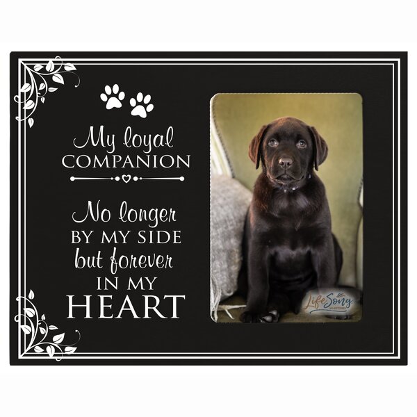 Sympathy Photo Frame LifeSong Milestones Personalized Pet Memorial Gift Never Shall I Forget All The Purr-FECT Days We Spent Together Custom Frame Holds 4x6 Photo USA Made 