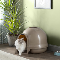 circular litter box