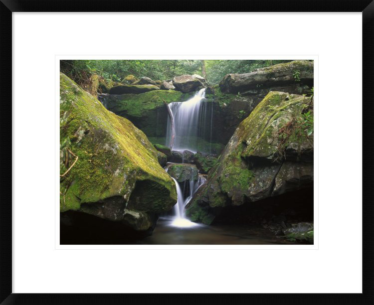 Global Gallery 'Cascade Near Grotto Falls, Great Smoky ...