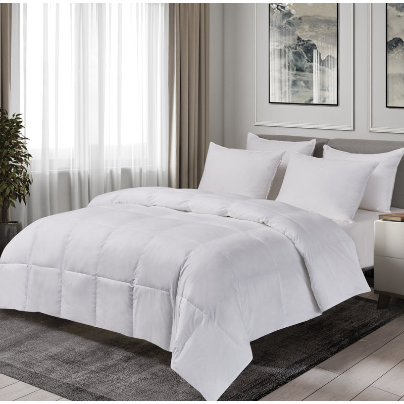 Alwyn Home All Season Down Comforter Reviews Wayfair