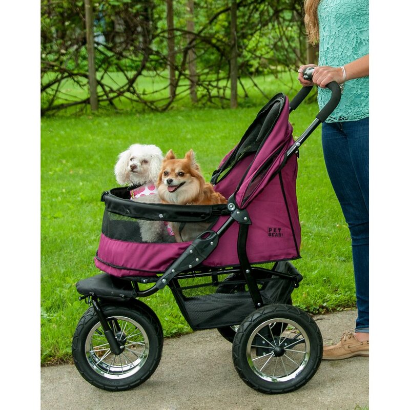 stroller for a dog