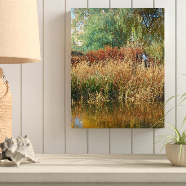 Breakwater Bay Weeping Willow Kingfisher Graphic Art Print On